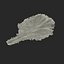 Lettuce Leaf