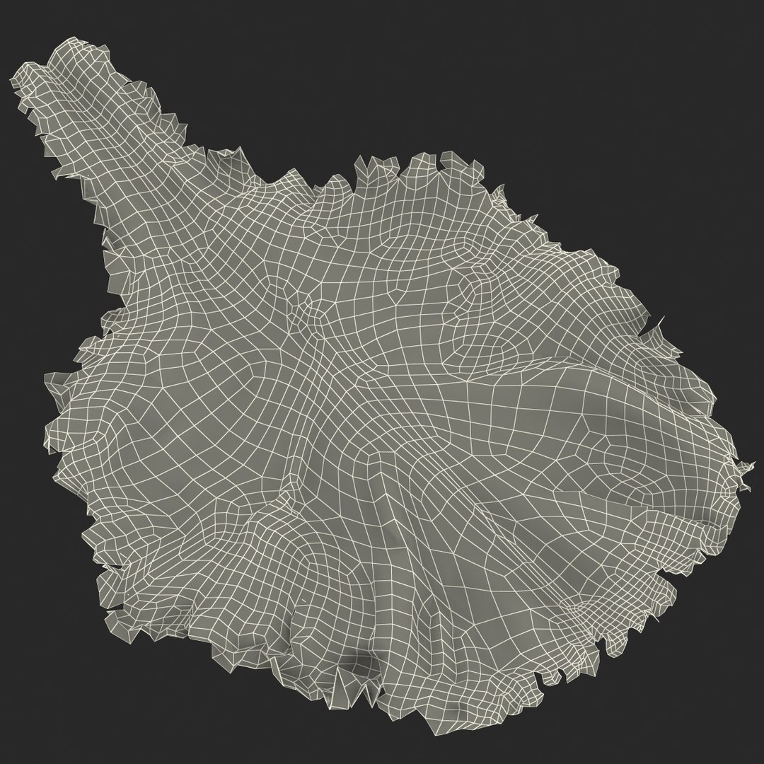 lettuce leaf 3d model https://p.turbosquid.com/ts-thumb/N9/vQ3R52/BmqaGuDw/lettuceleaf3dmodel19/jpg/1440763685/1920x1080/fit_q87/f8aee01cb9e792db11d09f2b28268509782104dc/lettuceleaf3dmodel19.jpg
