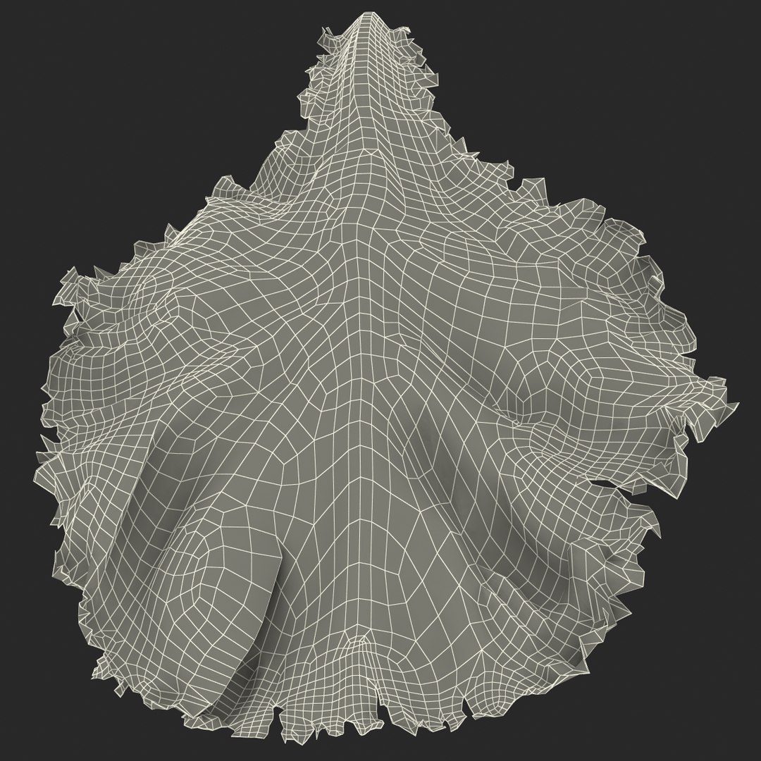lettuce leaf 3d model https://p.turbosquid.com/ts-thumb/N9/vQ3R52/D4vqkCQT/lettuceleaf3dmodel21/jpg/1440763685/1920x1080/fit_q87/dbab51e51e14c19f426650e58d9277bc1456e4dc/lettuceleaf3dmodel21.jpg