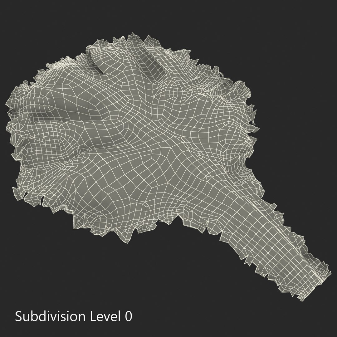 lettuce leaf 3d model https://p.turbosquid.com/ts-thumb/N9/vQ3R52/J1wTB0SI/lettuceleaf3dmodel11/jpg/1440763684/1920x1080/fit_q87/5d67a275b4e2da11568a6b273fbe72f7a94c598a/lettuceleaf3dmodel11.jpg