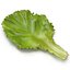 Lettuce Leaf