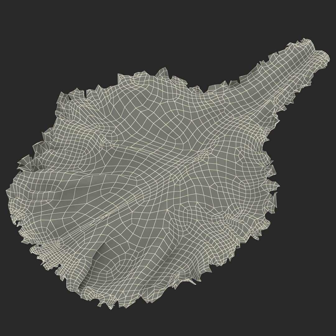 lettuce leaf 3d model https://p.turbosquid.com/ts-thumb/N9/vQ3R52/Kp64fesG/lettuceleaf3dmodel18/jpg/1440763685/1920x1080/fit_q87/f23d0f9cc4c9d28f82136286f956f4f9df08675d/lettuceleaf3dmodel18.jpg