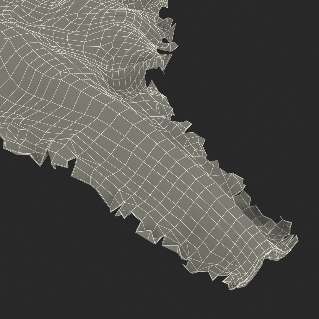 lettuce leaf 3d model https://p.turbosquid.com/ts-thumb/N9/vQ3R52/jUNgLiwU/lettuceleaf3dmodel22/jpg/1440763685/1920x1080/fit_q87/d32df23801aecdee0db681e90c5fcf72ffe0dc9b/lettuceleaf3dmodel22.jpg