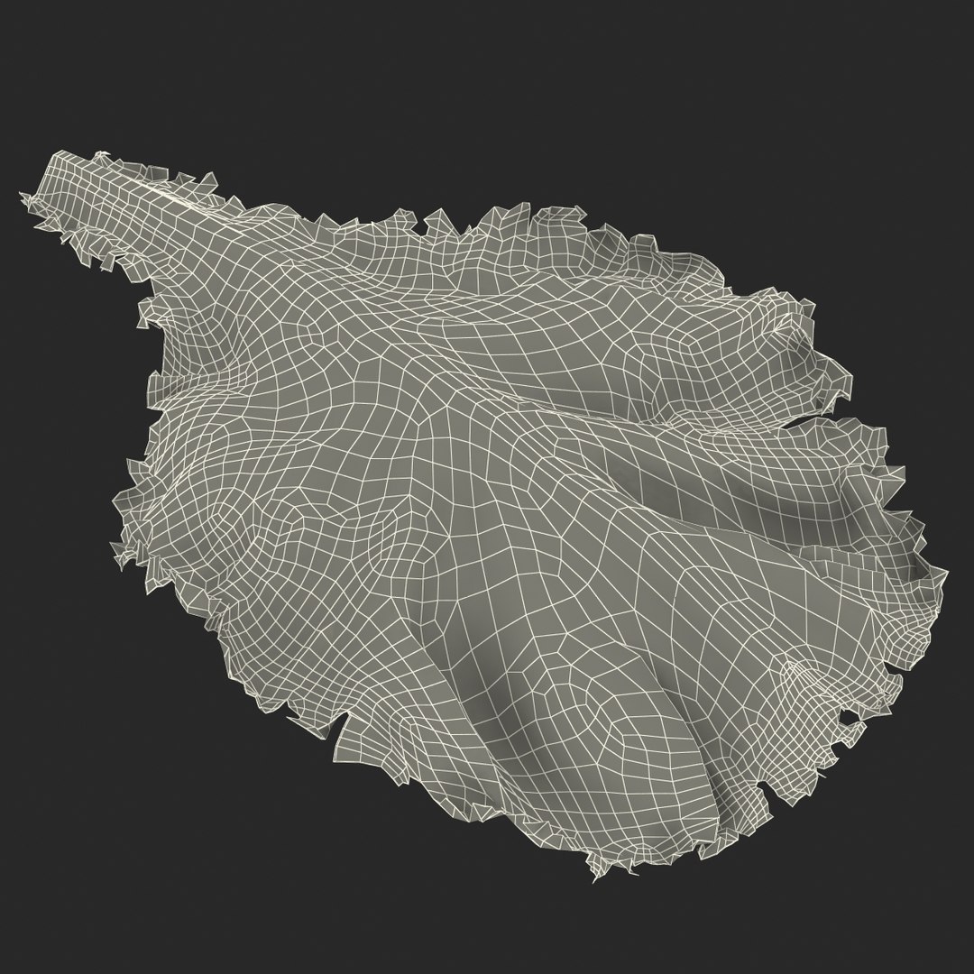 lettuce leaf 3d model https://p.turbosquid.com/ts-thumb/N9/vQ3R52/rKLqU9Ll/lettuceleaf3dmodel20/jpg/1440763685/1920x1080/fit_q87/5a29ca9dd36ccaeee85868d3dad7232fc52a87e9/lettuceleaf3dmodel20.jpg