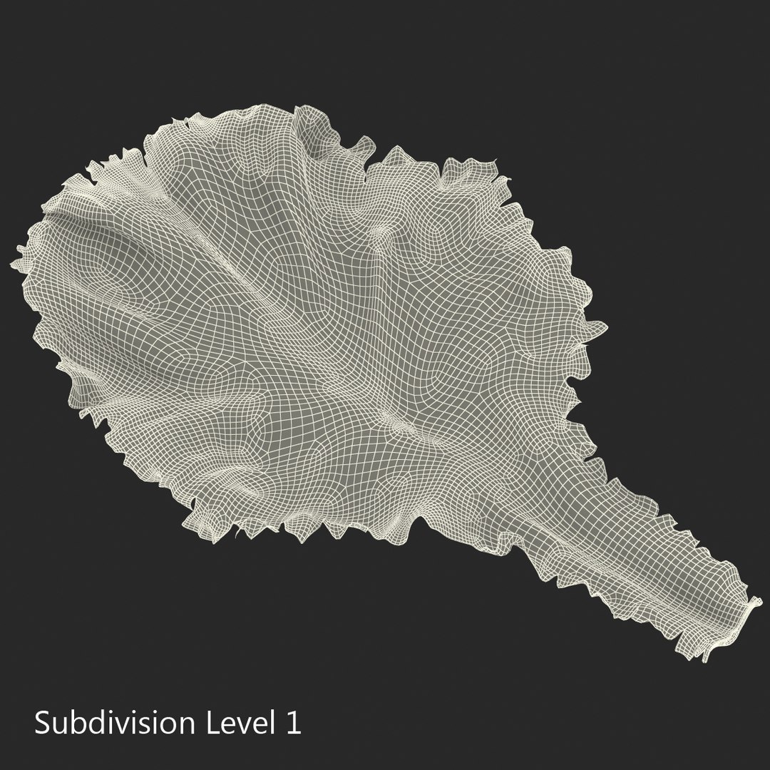 lettuce leaf 3d model https://p.turbosquid.com/ts-thumb/N9/vQ3R52/uV4cexUj/lettuceleaf3dmodel12/jpg/1440763684/1920x1080/fit_q87/a1cc58c7088dcfb537c49619b5ef0a17baee4ea1/lettuceleaf3dmodel12.jpg