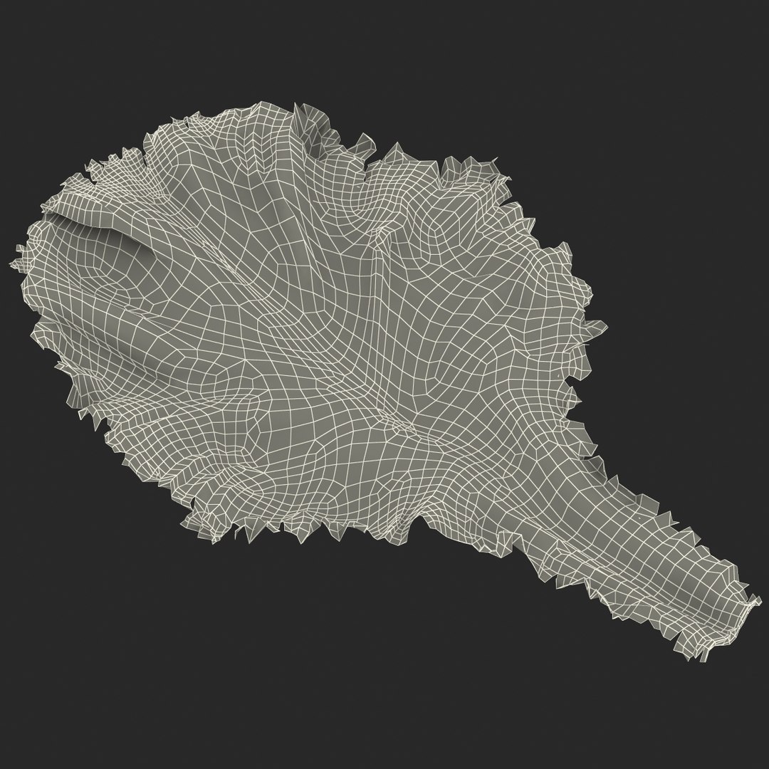 lettuce leaf 3d model https://p.turbosquid.com/ts-thumb/N9/vQ3R52/yXS6tq8Q/lettuceleaf3dmodel17/jpg/1440763685/1920x1080/fit_q87/98c4f5610a44833203ede0a5bacddb6c1628a1b0/lettuceleaf3dmodel17.jpg