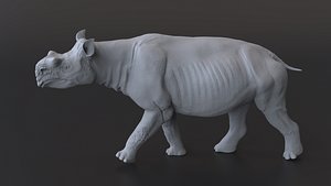 Diplacodon elatus 3d print