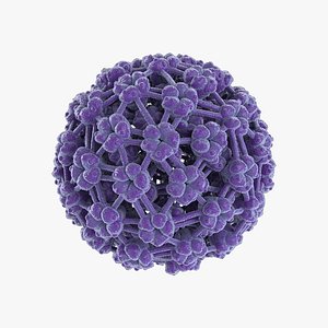 3D papilloma virus