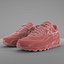 Air Max 90 Nike PBR(1)