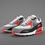Air Max 90 Nike PBR(1)