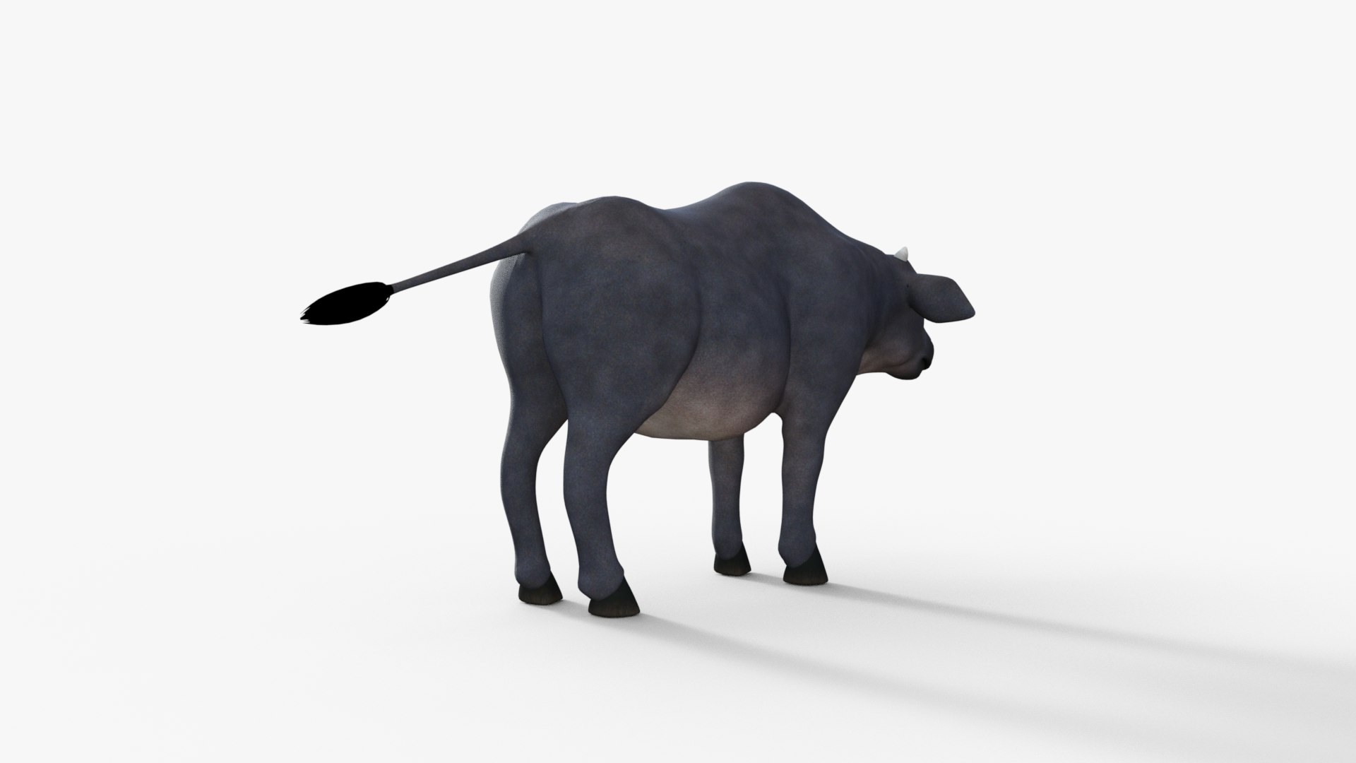 Cartoon Cow Rigged 3D Model - TurboSquid 2017402