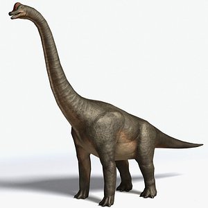 3d brachiosaurus sauropod model