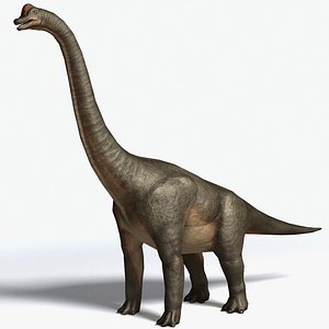 Brachiosaurus