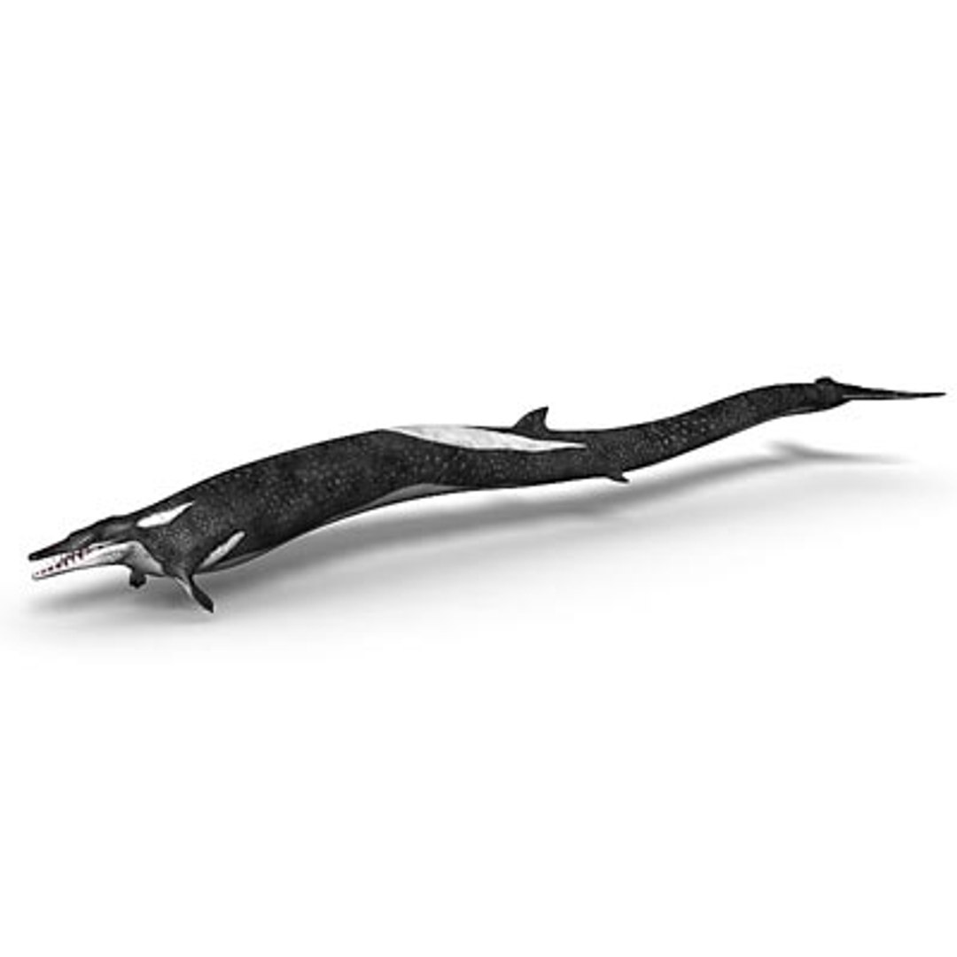 3d Basilosaurus Prehistoric Cetacean