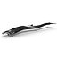 Basilosaurus par 3DRivers