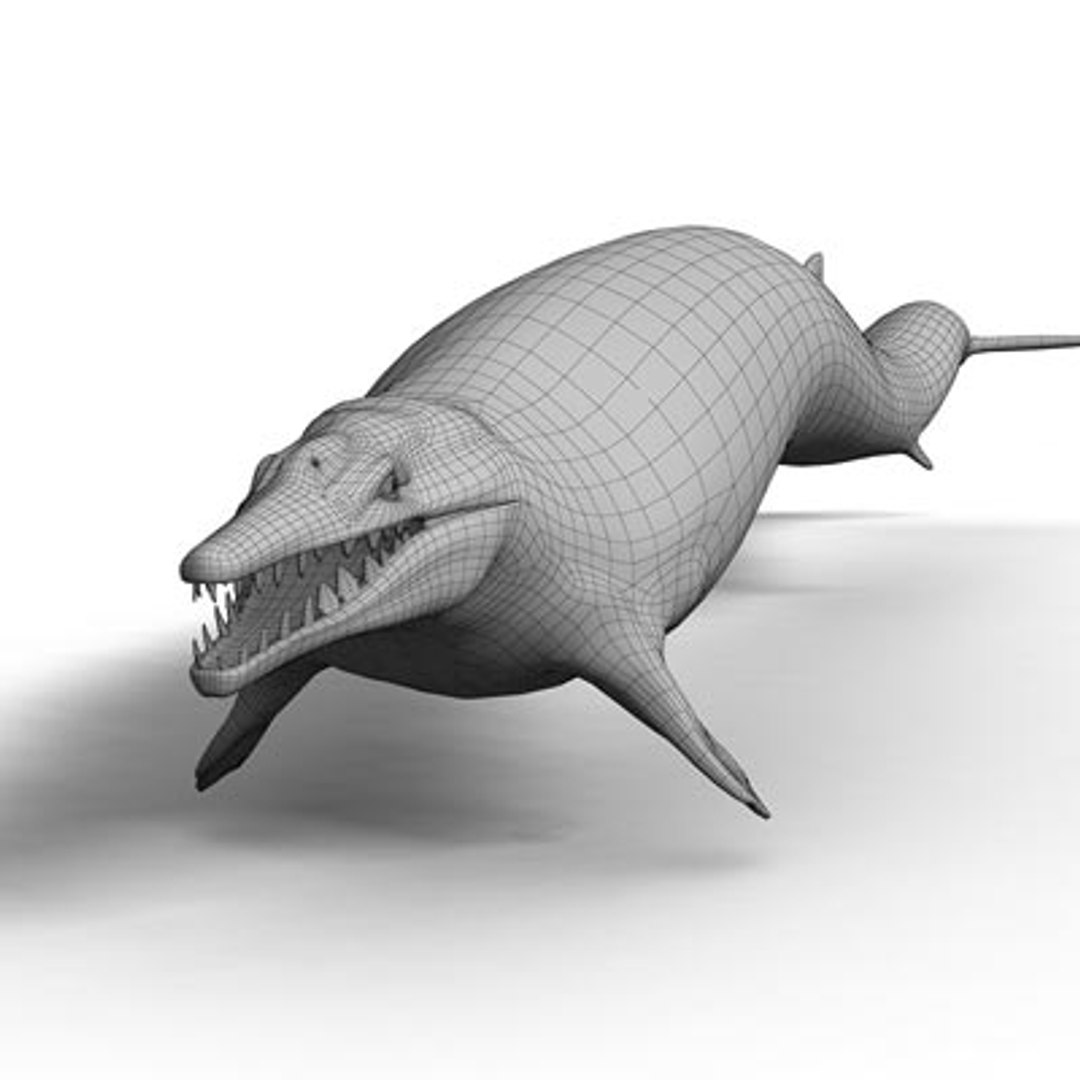 3d Basilosaurus Prehistoric Cetacean