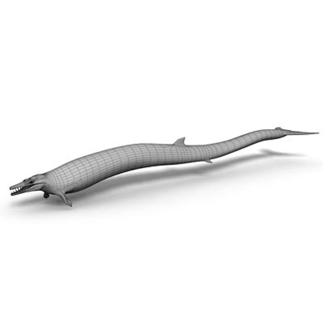 3d Basilosaurus Prehistoric Cetacean