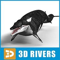 Basilosaurus by 3DRivers