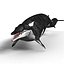 Basilosaurus par 3DRivers