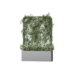 3D Botanical Planter 3