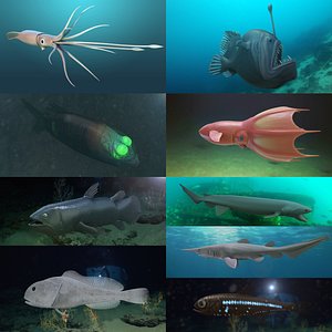 3D deep sea fish model