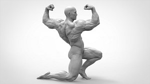 Bodybuilder Pose - Anatomy model
