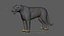 Bengal Tiger RIG XGEN
