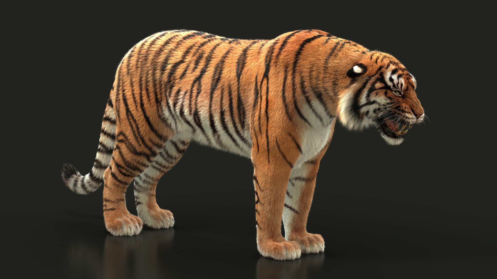3D bengal tiger model https://p.turbosquid.com/ts-thumb/NA/tVxdFY/2tH1CsmS/14/jpg/1604303602/1920x1080/fit_q87/1c930f0d69957848e12810c077714ad6461cc7de/14.jpg