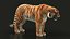 Bengal Tiger RIG XGEN
