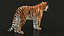 Bengal Tiger RIG XGEN