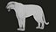 Bengal Tiger RIG XGEN