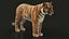 Bengal Tiger RIG XGEN