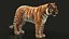 Bengal Tiger RIG XGEN