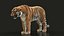 Bengal Tiger RIG XGEN