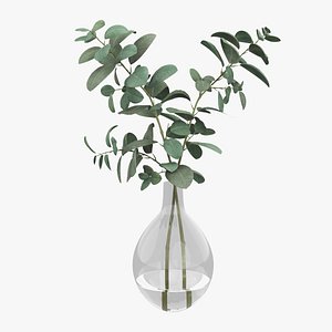 3D Eucalyptus Pot Plant model