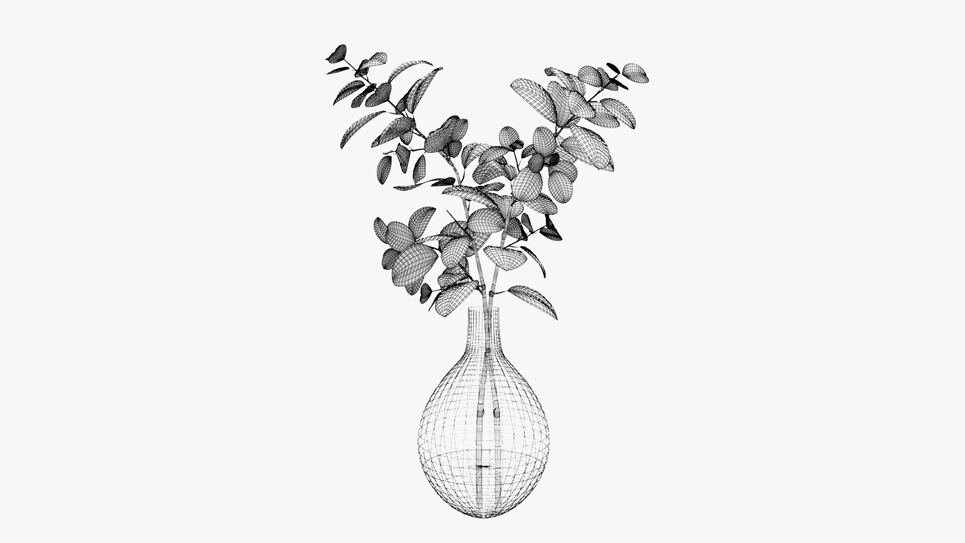 3D Eucalyptus Pot Plant model https://p.turbosquid.com/ts-thumb/NB/1jJpFT/Os/plant_eucalyptusinvase_preview_14_wire/jpg/1649514000/1920x1080/fit_q87/f1782e50df9ec10ec5fb4c07b74b4ade1ad440a3/plant_eucalyptusinvase_preview_14_wire.jpg