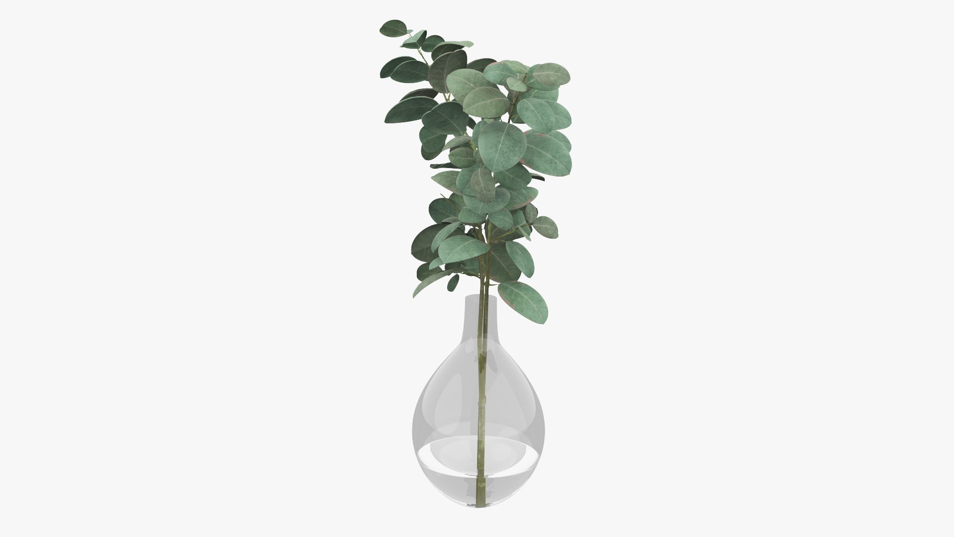 3D Eucalyptus Pot Plant model https://p.turbosquid.com/ts-thumb/NB/1jJpFT/dW/plant_eucalyptusinvase_preview_06/jpg/1649513997/1920x1080/fit_q87/5b6f2c9b788e8671acc248baf5510f94a108279b/plant_eucalyptusinvase_preview_06.jpg