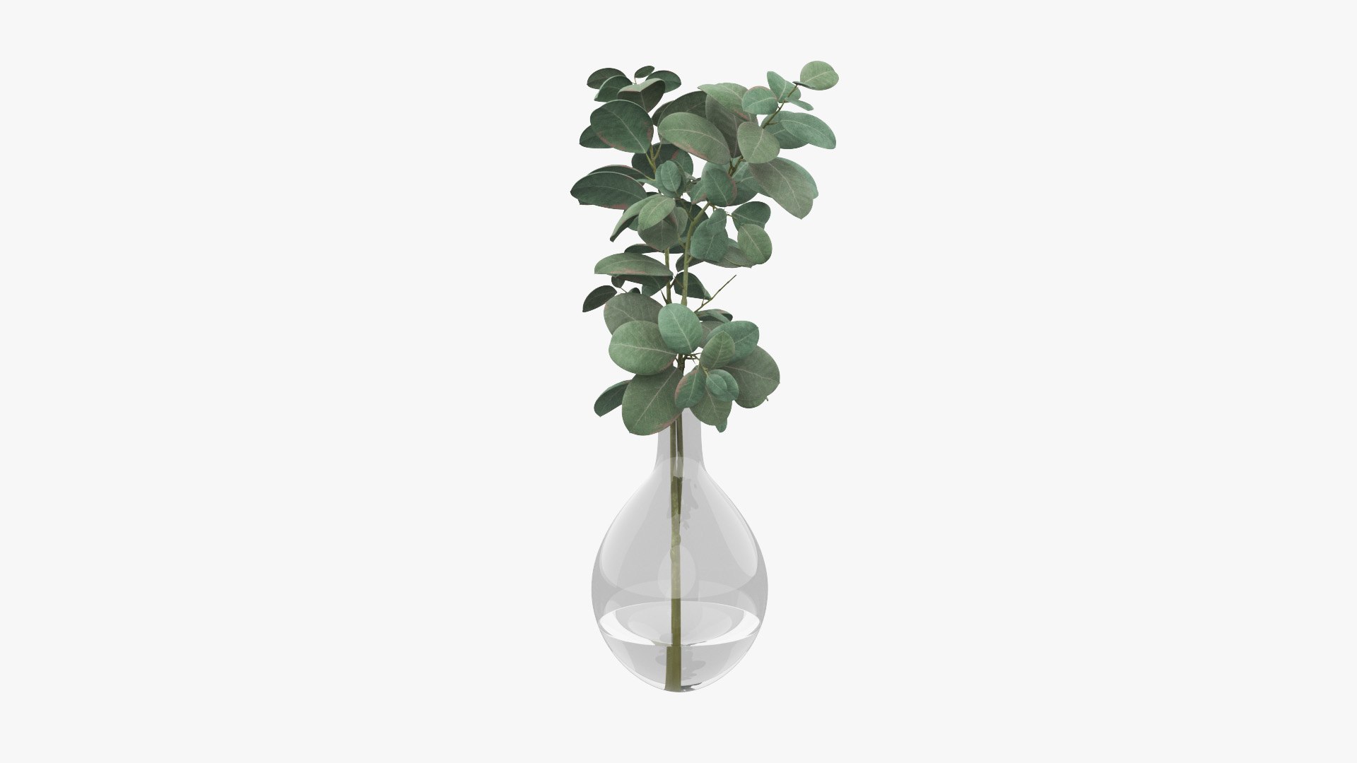 3D Eucalyptus Pot Plant model https://p.turbosquid.com/ts-thumb/NB/1jJpFT/jz/plant_eucalyptusinvase_preview_03/jpg/1649513999/1920x1080/fit_q87/51f845f20dd743e4c00612e696ed995d6147076d/plant_eucalyptusinvase_preview_03.jpg