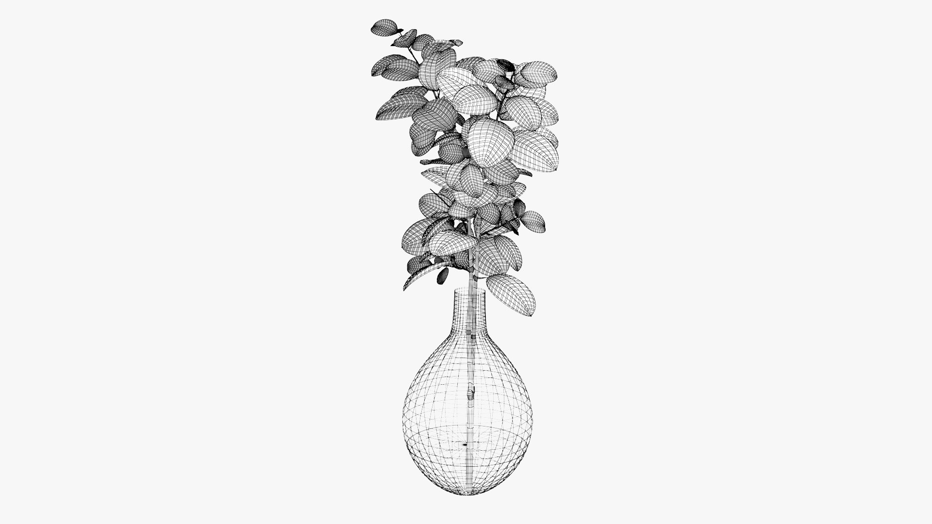 3D Eucalyptus Pot Plant model https://p.turbosquid.com/ts-thumb/NB/1jJpFT/wJ/plant_eucalyptusinvase_preview_15_wire/jpg/1649514001/1920x1080/fit_q87/400205cbcb33bb12e9e6e38b96514d820cbb0042/plant_eucalyptusinvase_preview_15_wire.jpg