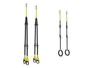 Olympic rings TRX