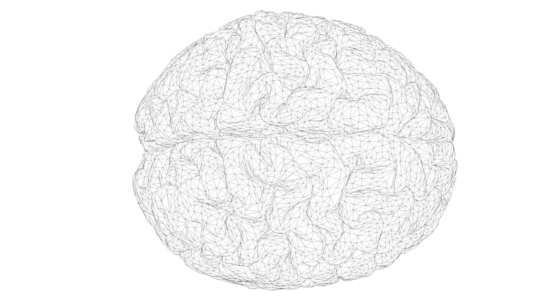 3D Human Brain Model - TurboSquid 921061