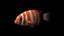 clownfish rigged 3d 3ds