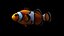 clownfish rigged 3d 3ds