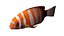 clownfish rigged 3d 3ds