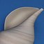 seashells v3 sea shell 3ds