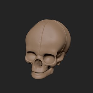 3ds max skull z