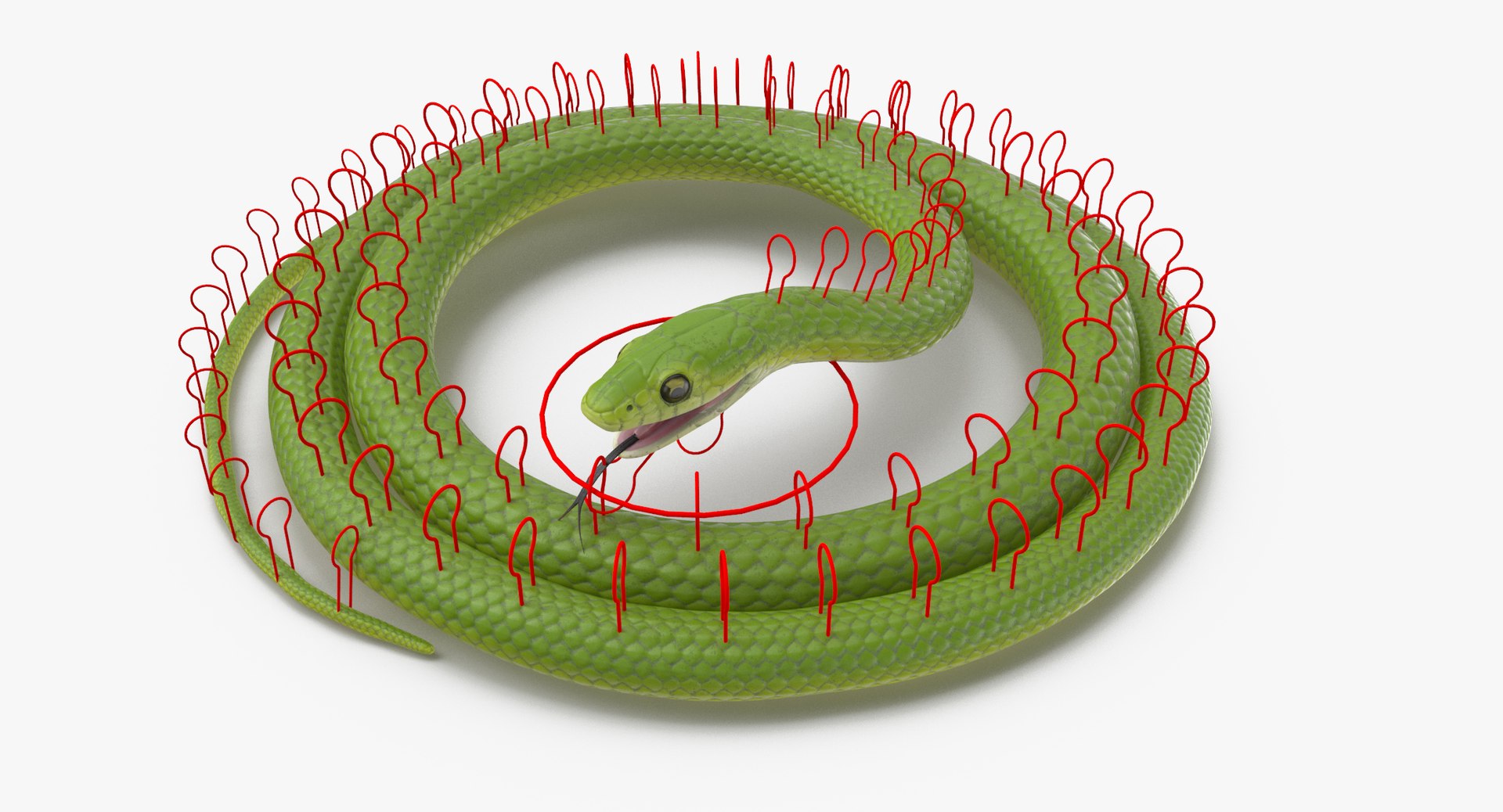 3d Rigged Snakes Black Green