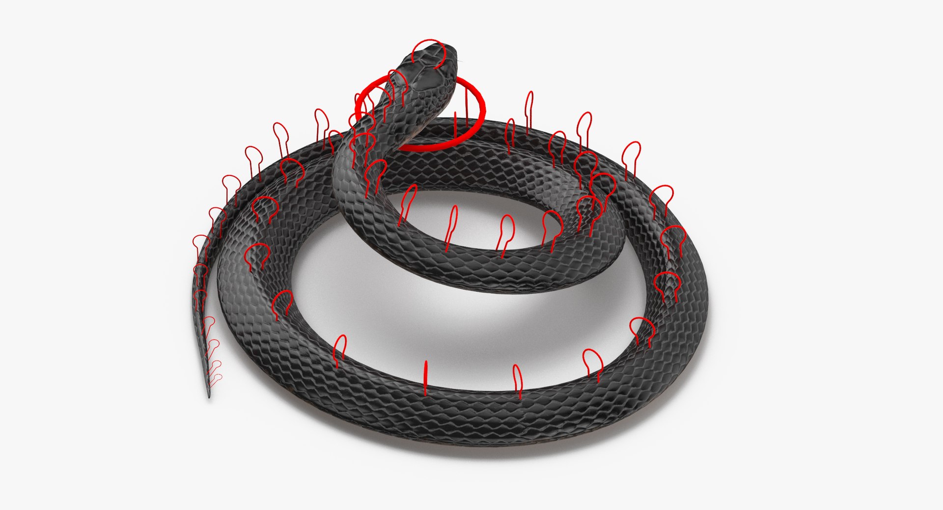 3d Rigged Snakes Black Green