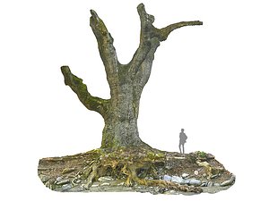 scan ancient 3D model