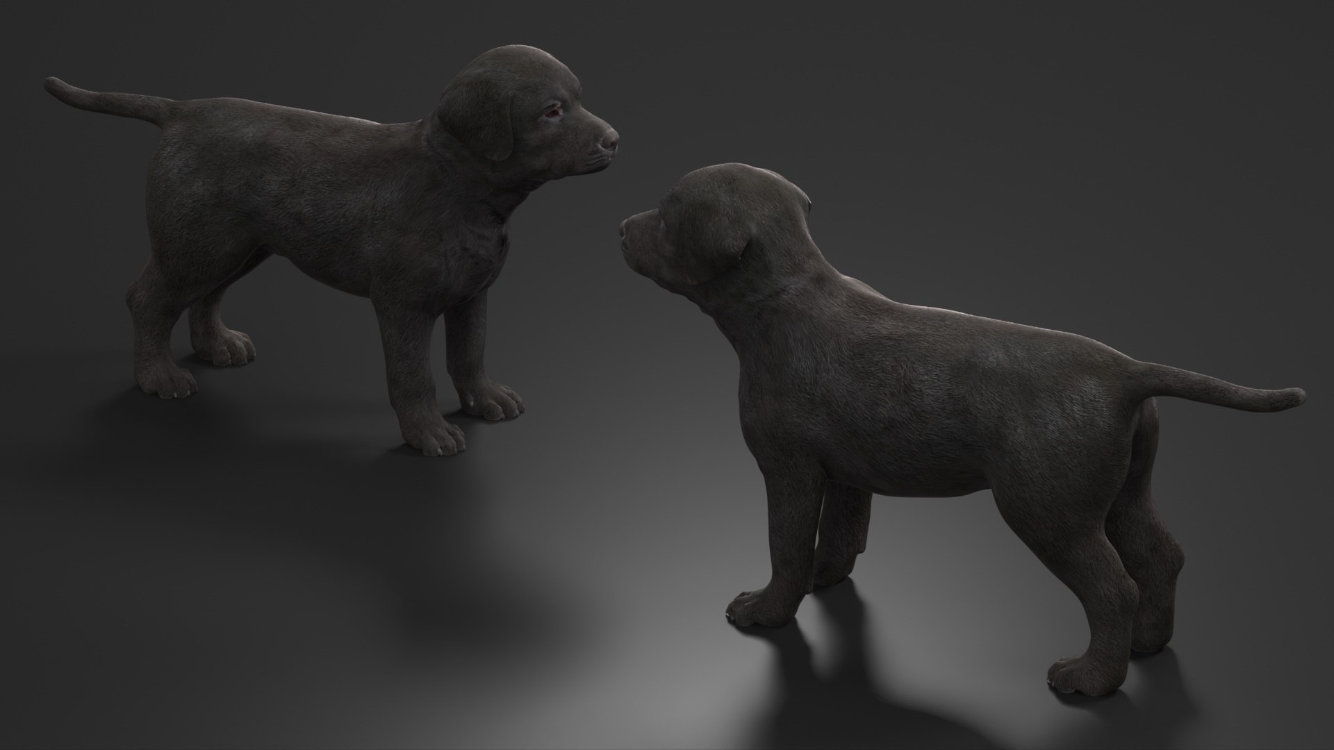 3D Labrador Retriever Puppy Black Model - TurboSquid 2410965